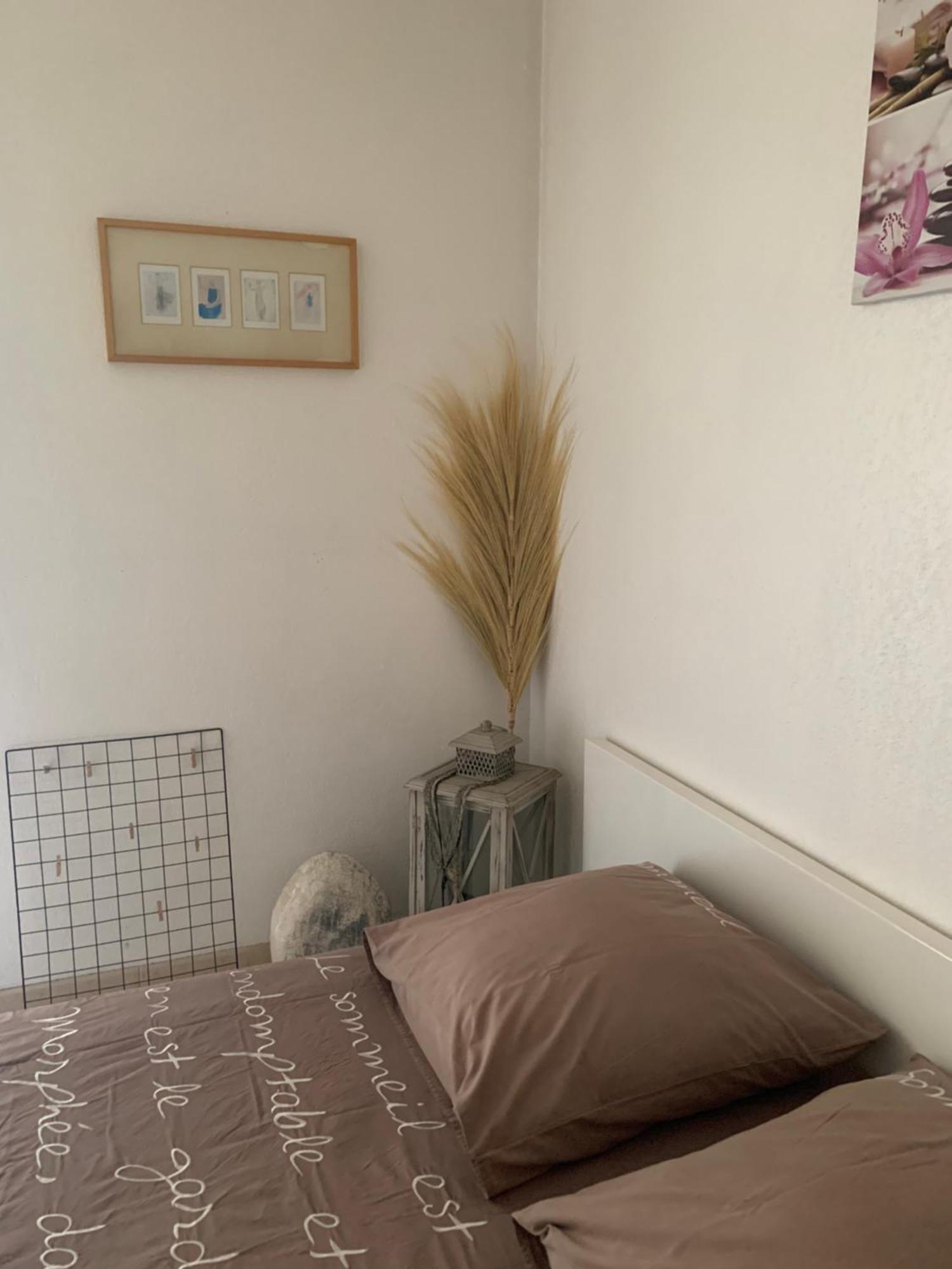 Votre Sejour Cosy A Frejus! Apartment Exterior foto